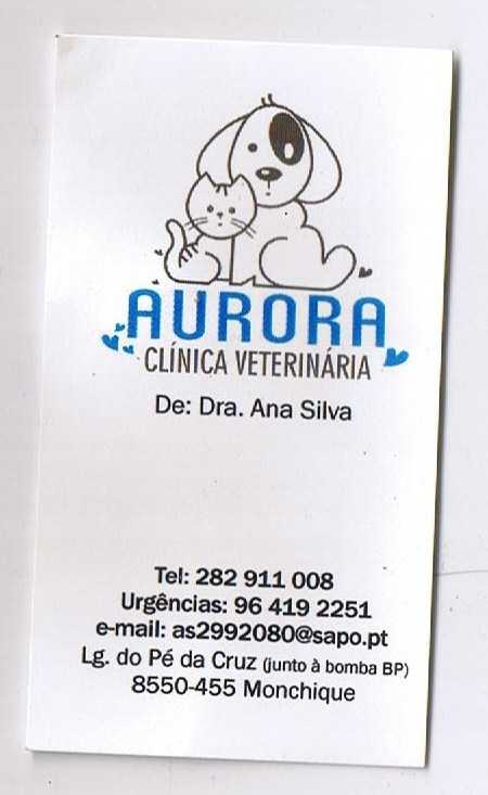 AURORA Veterinary Algarve Portugal Taking a dog toAURORA Veterinary Algarve Portugal