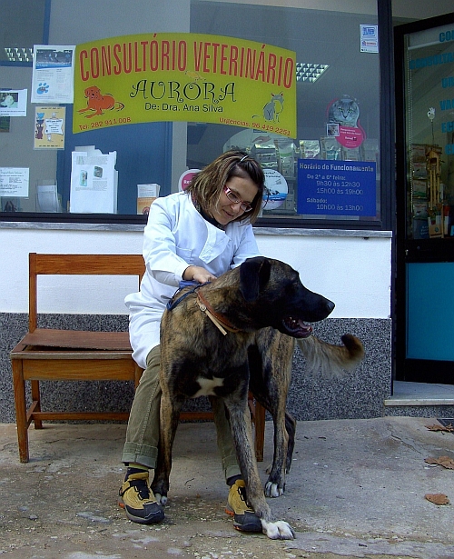 Ana Silva Aurora Veterinary Clinic in Monchique Ana Silva Aurora Veterinary Clinic in Monchique Algarve Portugal