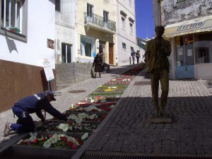 Flowers on street of Monchique