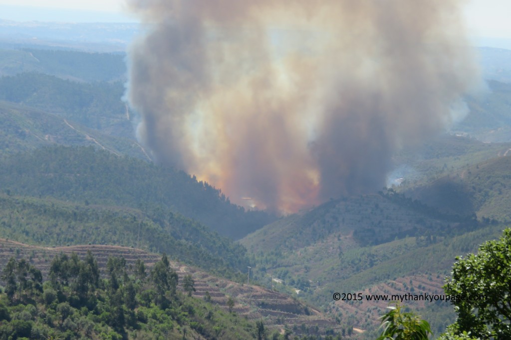 WILD FIRE GETTING OUT OF CONTROL